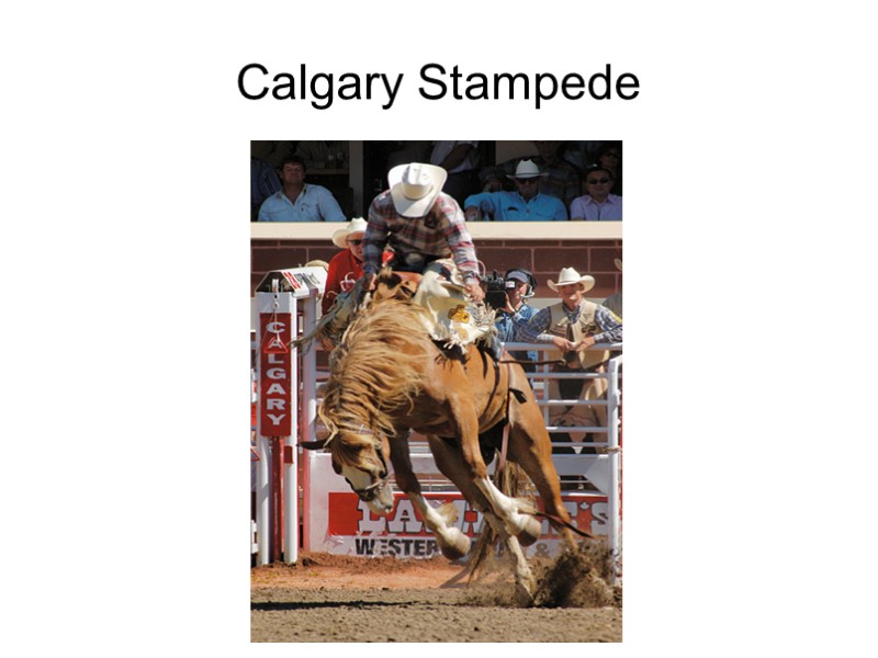 Calgary Stampede